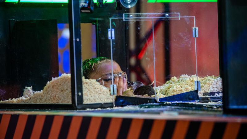 Power Couple România sezon 2, 25 februarie 2025. DOC și Anca Munteanu și-au folosit superputerea. Ce cuplu a primit un dezavantaj