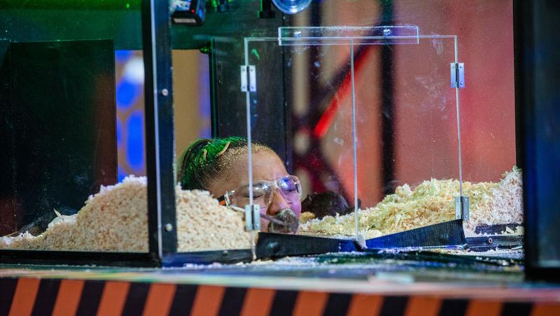 Power Couple România sezon 2, 25 februarie 2025. DOC și Anca Munteanu și-au folosit superputerea. Ce cuplu a primit un dezavantaj