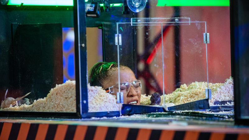 Power Couple România sezon 2, 25 februarie 2025. DOC și Anca Munteanu și-au folosit superputerea. Ce cuplu a primit un dezavantaj