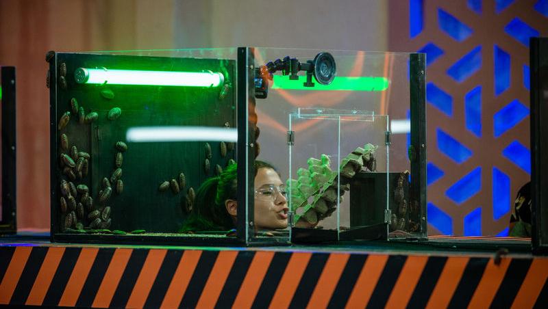 Power Couple România sezon 2, 25 februarie 2025. DOC și Anca Munteanu și-au folosit superputerea. Ce cuplu a primit un dezavantaj