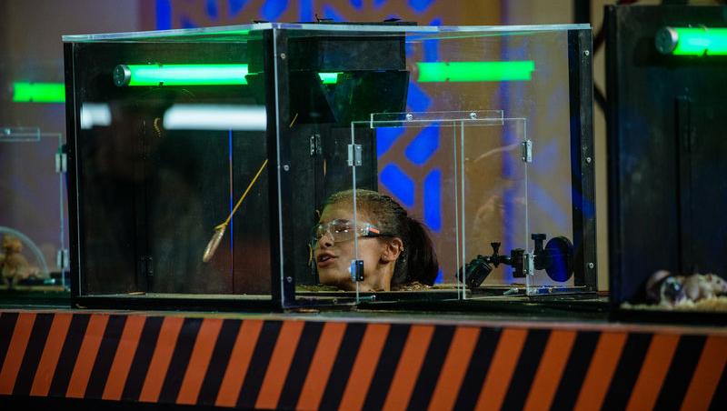 Power Couple România sezon 2, 25 februarie 2025. DOC și Anca Munteanu și-au folosit superputerea. Ce cuplu a primit un dezavantaj