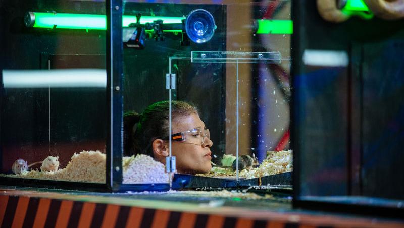 Power Couple România sezon 2, 25 februarie 2025. DOC și Anca Munteanu și-au folosit superputerea. Ce cuplu a primit un dezavantaj