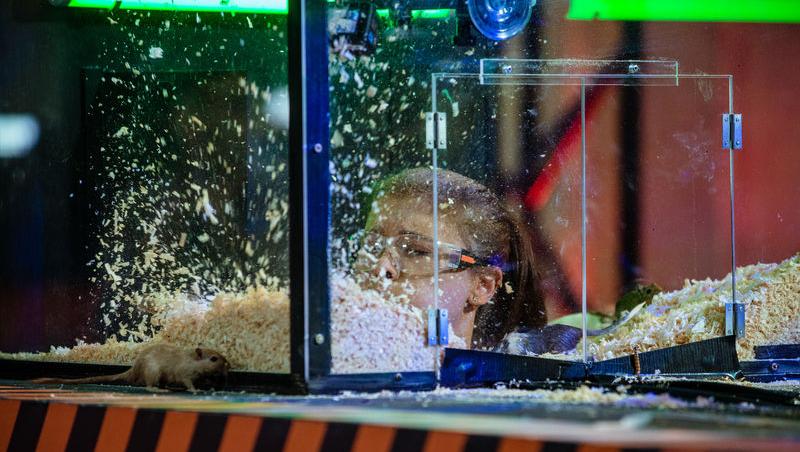 Power Couple România sezon 2, 25 februarie 2025. DOC și Anca Munteanu și-au folosit superputerea. Ce cuplu a primit un dezavantaj