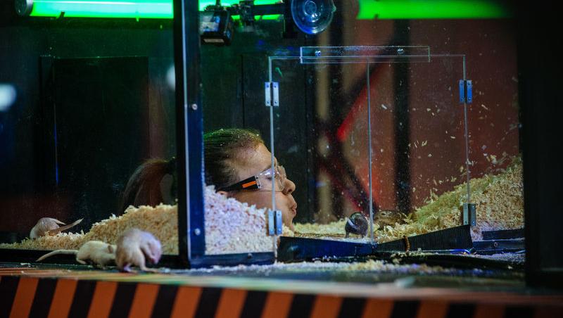 Power Couple România sezon 2, 25 februarie 2025. DOC și Anca Munteanu și-au folosit superputerea. Ce cuplu a primit un dezavantaj