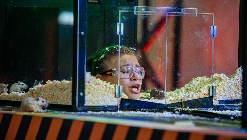 Power Couple România sezon 2, 25 februarie 2025. DOC și Anca Munteanu și-au folosit superputerea. Ce cuplu a primit un dezavantaj