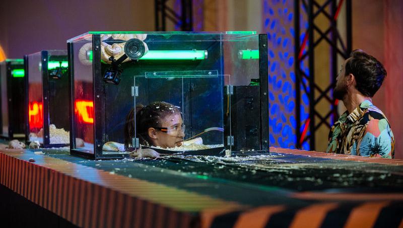 Power Couple România sezon 2, 25 februarie 2025. DOC și Anca Munteanu și-au folosit superputerea. Ce cuplu a primit un dezavantaj