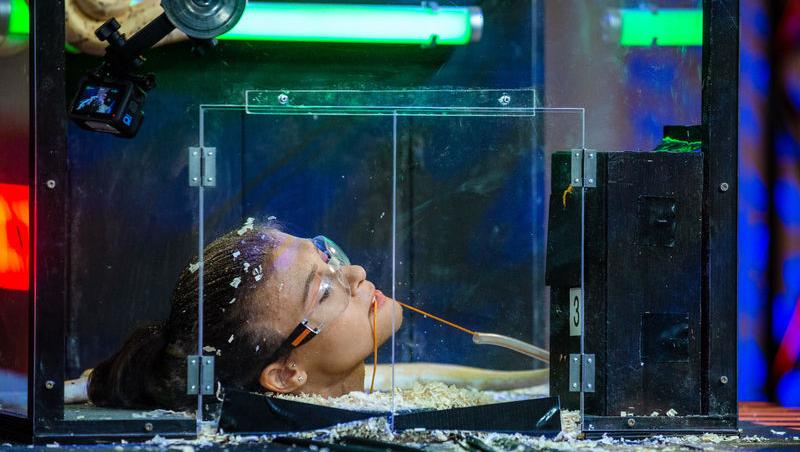 Power Couple România sezon 2, 25 februarie 2025. DOC și Anca Munteanu și-au folosit superputerea. Ce cuplu a primit un dezavantaj