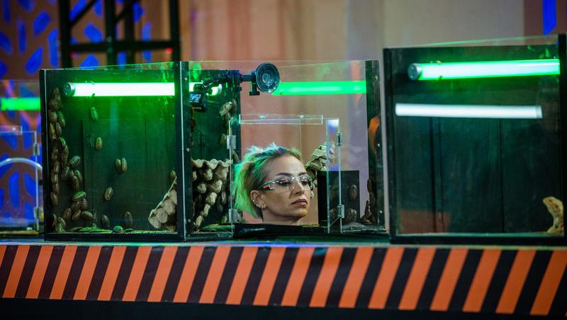 Power Couple România sezon 2, 25 februarie 2025. DOC și Anca Munteanu și-au folosit superputerea. Ce cuplu a primit un dezavantaj