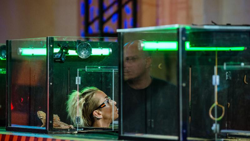 Power Couple România sezon 2, 25 februarie 2025. DOC și Anca Munteanu și-au folosit superputerea. Ce cuplu a primit un dezavantaj