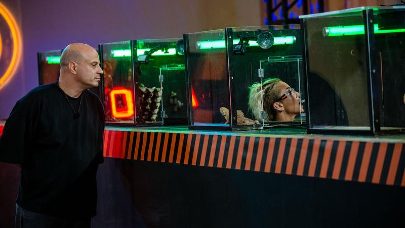 Power Couple România sezon 2, 25 februarie 2025. DOC și Anca Munteanu și-au folosit superputerea. Ce cuplu a primit un dezavantaj