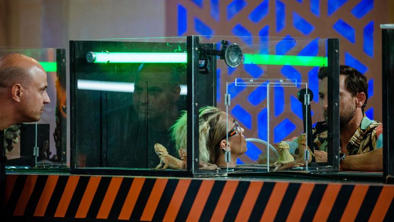 Power Couple România sezon 2, 25 februarie 2025. DOC și Anca Munteanu și-au folosit superputerea. Ce cuplu a primit un dezavantaj