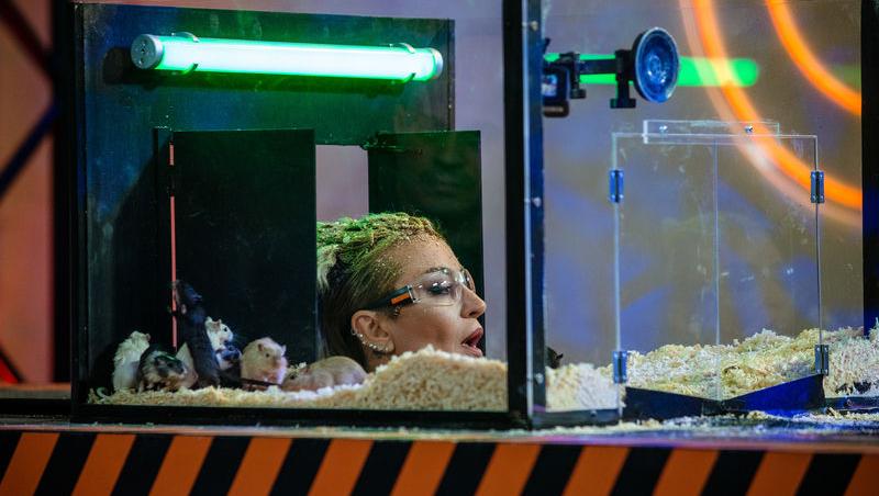 Power Couple România sezon 2, 25 februarie 2025. DOC și Anca Munteanu și-au folosit superputerea. Ce cuplu a primit un dezavantaj