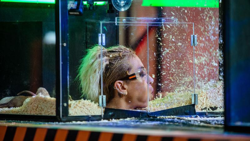 Power Couple România sezon 2, 25 februarie 2025. DOC și Anca Munteanu și-au folosit superputerea. Ce cuplu a primit un dezavantaj