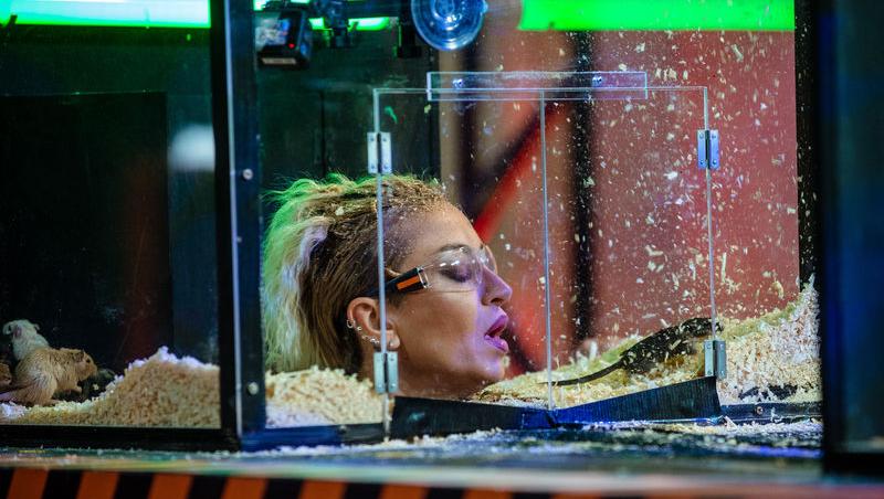 Power Couple România sezon 2, 25 februarie 2025. DOC și Anca Munteanu și-au folosit superputerea. Ce cuplu a primit un dezavantaj