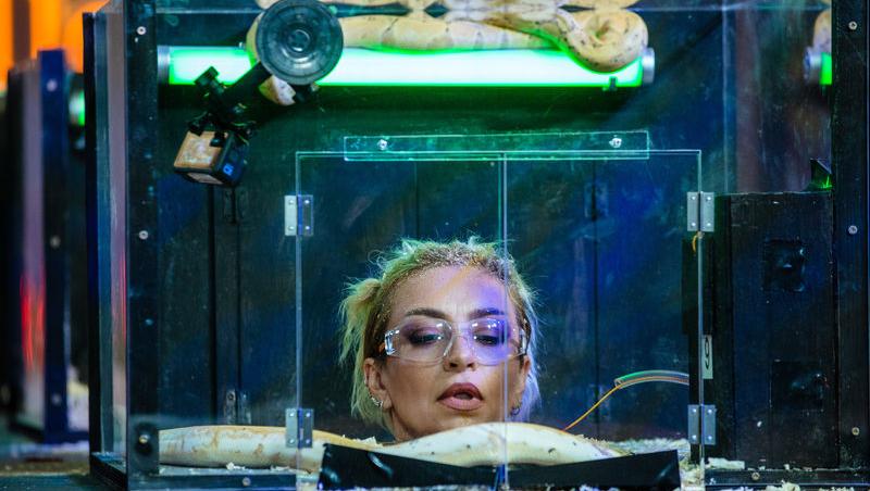 Power Couple România sezon 2, 25 februarie 2025. DOC și Anca Munteanu și-au folosit superputerea. Ce cuplu a primit un dezavantaj