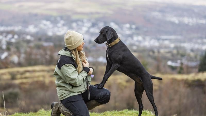 Medicii au fost nevoiți să-i amputeze coada unui câine din motive cu totul inedite. Ce este sindromul „happy tail”