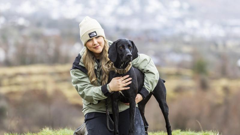 Medicii au fost nevoiți să-i amputeze coada unui câine din motive cu totul inedite. Ce este sindromul „happy tail”