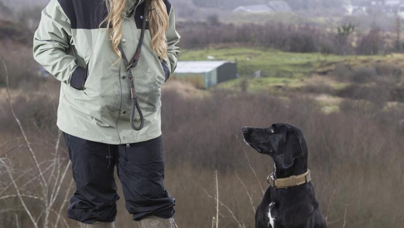 Medicii au fost nevoiți să-i amputeze coada unui câine din motive cu totul inedite. Ce este sindromul „happy tail”