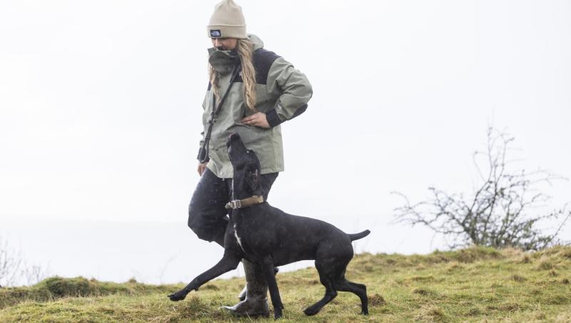 Medicii au fost nevoiți să-i amputeze coada unui câine din motive cu totul inedite. Ce este sindromul „happy tail”