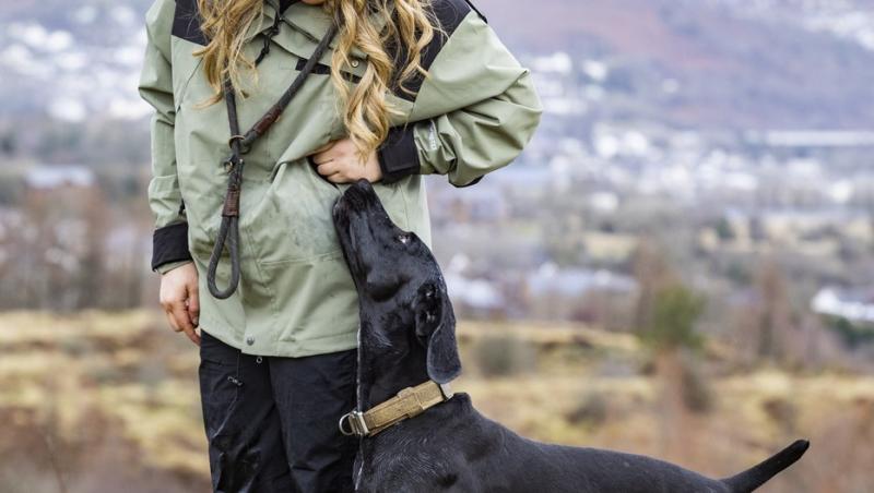 Medicii au fost nevoiți să-i amputeze coada unui câine din motive cu totul inedite. Ce este sindromul „happy tail”