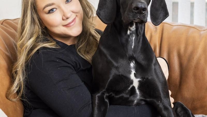 Medicii au fost nevoiți să-i amputeze coada unui câine din motive cu totul inedite. Ce este sindromul „happy tail”