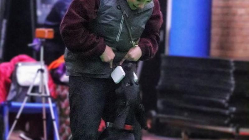 Medicii au fost nevoiți să-i amputeze coada unui câine din motive cu totul inedite. Ce este sindromul „happy tail”