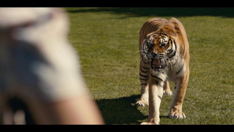 Filmele lunii martie în AntenaPLAY. Cu ce producții captivante se pot delecta abonații