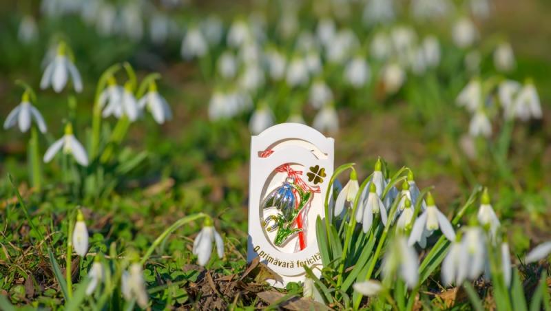 Unde se poartă mărțișorul. Ce se face cu șnurul după ce se dă jos