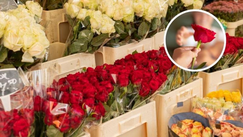 colaj trandafiri de diferite culori în florărie și persoană care dăruiește un fir de trandafir roșu unei femei