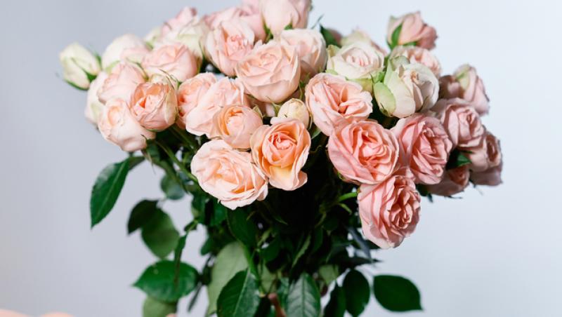 Ce semnifică numărul de trandafiri pe care îi primești în dar. Care este mesajul subtil din spate