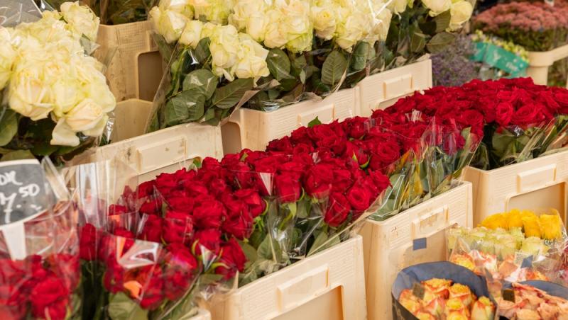 Ce semnifică numărul de trandafiri pe care îi primești în dar. Care este mesajul subtil din spate