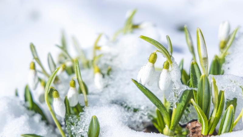 Cum îți calculezi Baba în luna martie. De ce trebuie să ții cont