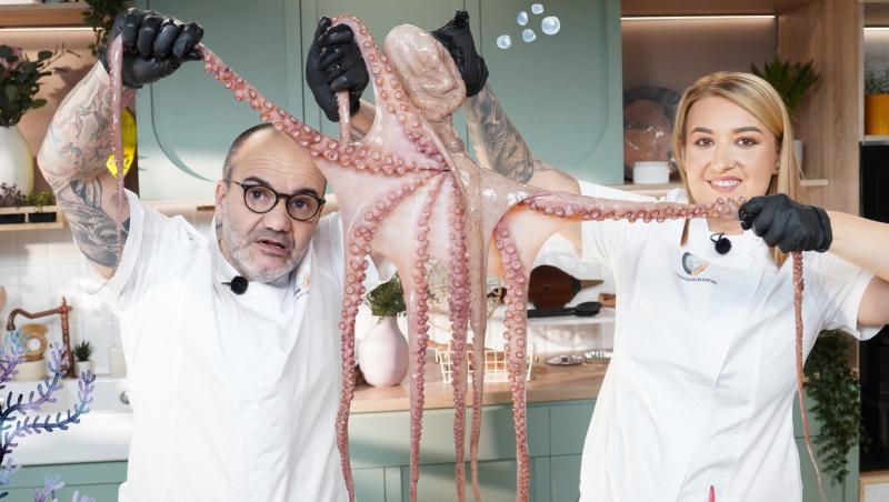 Hello Chef sezon 9, 8 martie 2025. Rețeta Roxanei Blenche pentru prăjitura Albinița. Ce verdict au dat DOC și Anca Munteanu