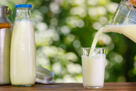 De ce e bine să uzi plantele din grădină cu lapte expirat. Ce spun grădinarii experimentați