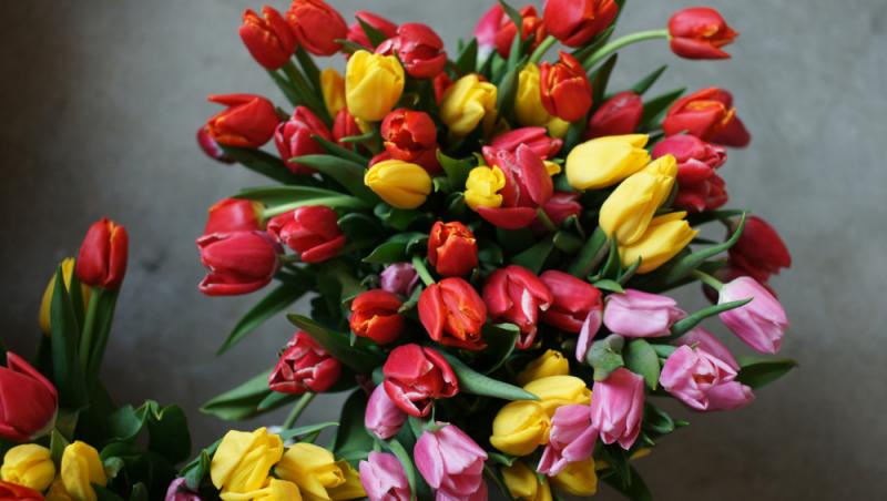 1001 lalele pentru iubita sa de Ziua Femeii. Cât a plătit românul pentru gestul extravagant
