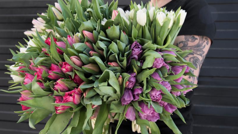 1001 lalele pentru iubita sa de Ziua Femeii. Cât a plătit românul pentru gestul extravagant