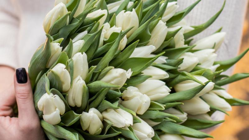 1001 lalele pentru iubita sa de Ziua Femeii. Cât a plătit românul pentru gestul extravagant