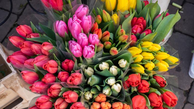 1001 lalele pentru iubita sa de Ziua Femeii. Cât a plătit românul pentru gestul extravagant