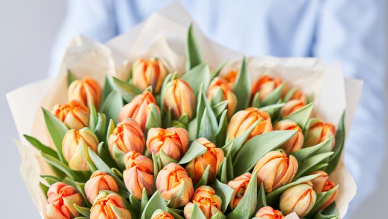 1001 lalele pentru iubita sa de Ziua Femeii. Cât a plătit românul pentru gestul extravagant