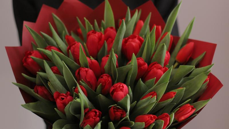 1001 lalele pentru iubita sa de Ziua Femeii. Cât a plătit românul pentru gestul extravagant