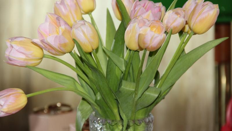 1001 lalele pentru iubita sa de Ziua Femeii. Cât a plătit românul pentru gestul extravagant