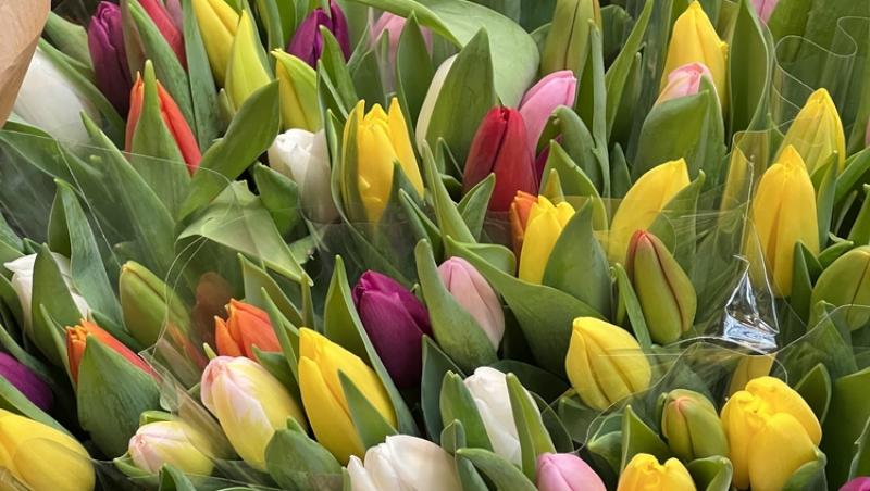 1001 lalele pentru iubita sa de Ziua Femeii. Cât a plătit românul pentru gestul extravagant