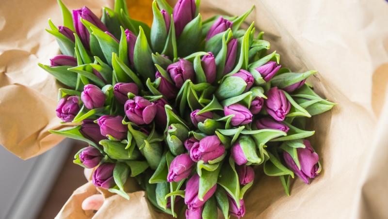 1001 lalele pentru iubita sa de Ziua Femeii. Cât a plătit românul pentru gestul extravagant