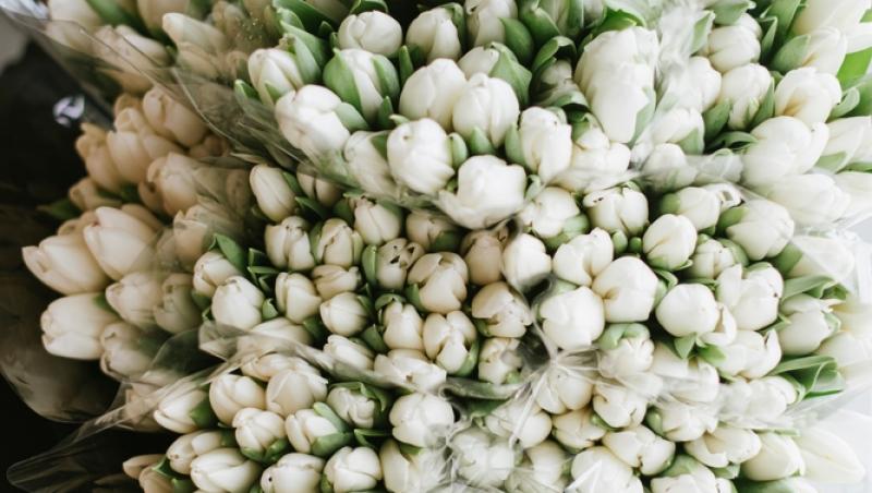 1001 lalele pentru iubita sa de Ziua Femeii. Cât a plătit românul pentru gestul extravagant