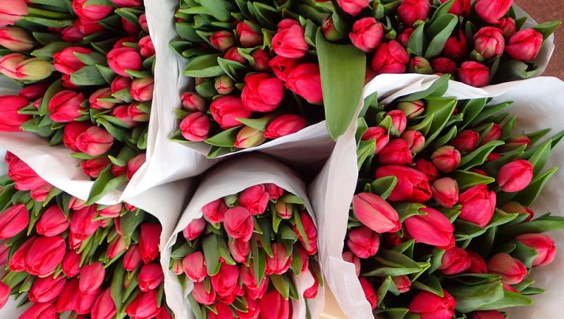 1001 lalele pentru iubita sa de Ziua Femeii. Cât a plătit românul pentru gestul extravagant