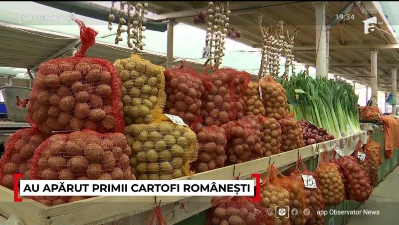 Cât costă un kilogram de cartofi noi românești la începutul primăverii. Românii scot bani frumoși din portofele