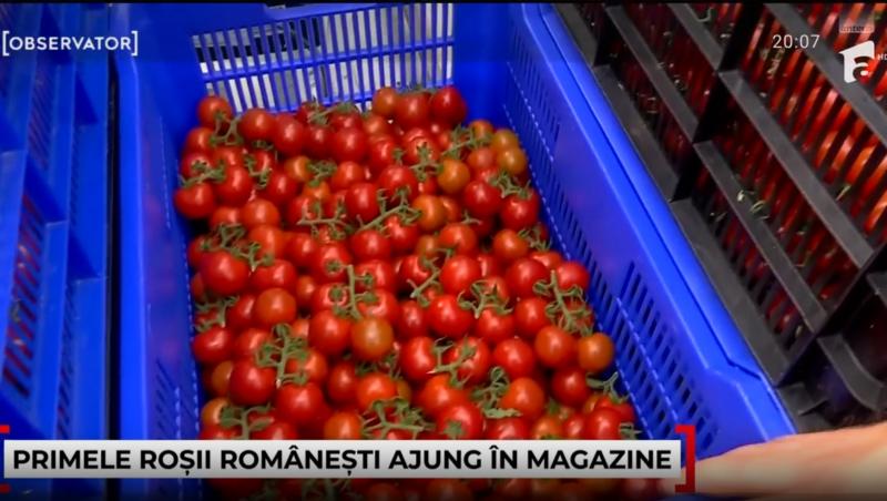 Cât costă o caserolă de roșii cherry românești. Prețul s-a scumpit cu 30% față de anul trecut