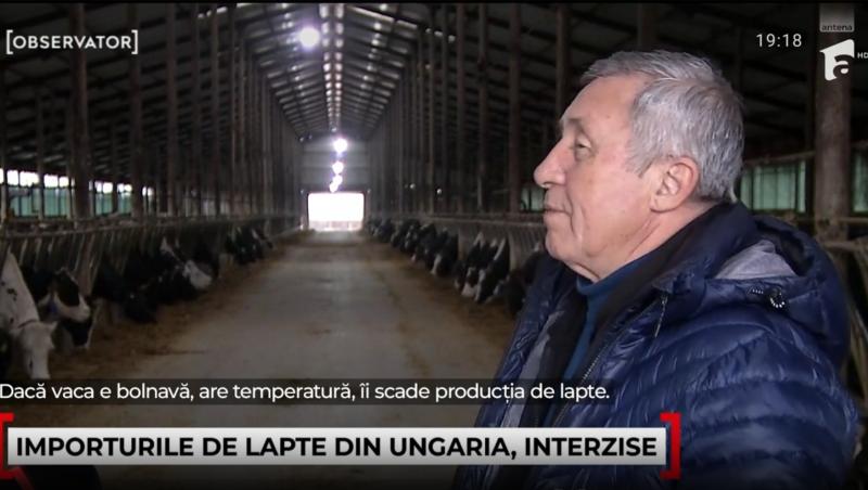 Laptele și carnea din Ungaria, interzise în România din motive sanitare. Ce e febra aftoasă și de ce vor exista creșteri de preț