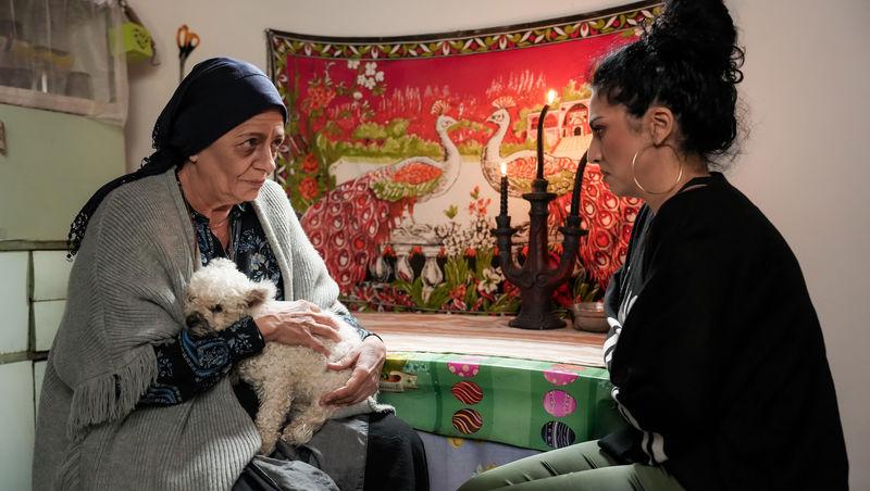 Iubire cu parfum de lavandă sezon 2, rezumat episoade 28, 29 și 30 din 14 martie 2025. În ce probleme se bagă Traian. Ce pățește