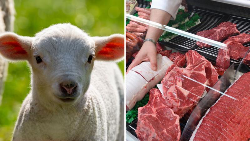 Cât va costa carnea de miel pentru Paşte în 2025. Clienţii au început deja să își rezerve mielul dorit